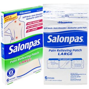 Salonpas Pain Relieving Patch Large – Box of 6