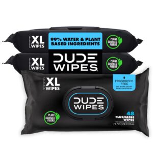DUDE Wipes Unscented Adult Flushable Wet Wipes, Sensitive Skin, 144 Count