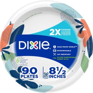Dixie Paper Plates 8.5 Inch, 90 Count, Disposable Plates