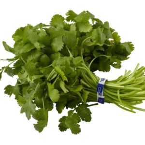Natures Reward Cilantro, 1 EA