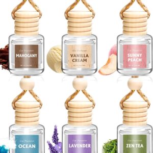 AROIC 6Pack Car Air Freshener, Hanging Essential Oil Air Freshener Diffuser