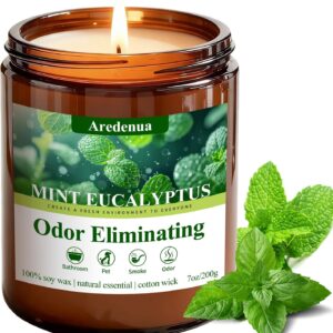 Mint Eucalyptus Odor Eliminating Candles, 7 oz Soy Scented Candle